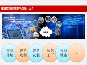 北京東谷物聯(lián)網遠程測控系統(tǒng) 自動化軟件研發(fā)的核心價值與實踐